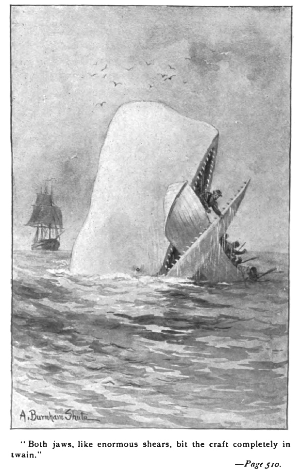 Moby Dick happily biting a wooden rowboat in two