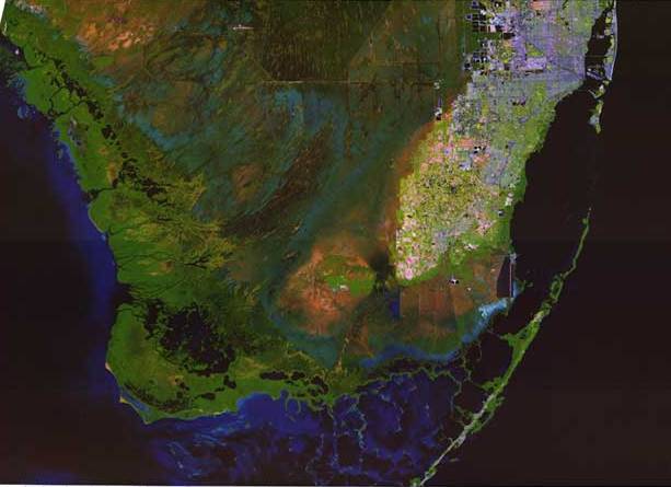 image of everglades showing development in Miami and Fort Lauderdale spreading