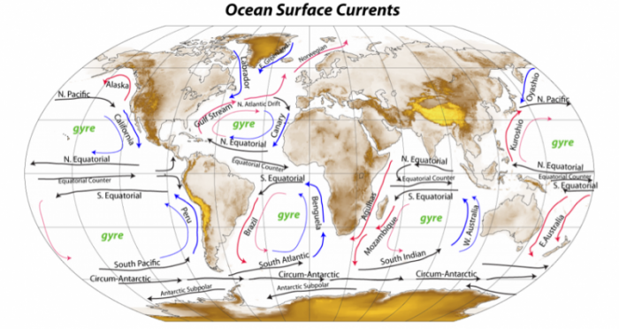Ocean currents Eddies are labeled “gyre”. Theres 1 each in the n & s Atlantic, 1 each in the n & s pacific & 1 in the Indian ocean. More in text below.