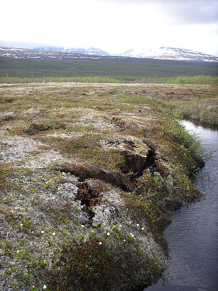 Permafrost in Sweden (cracks are due to thawing)