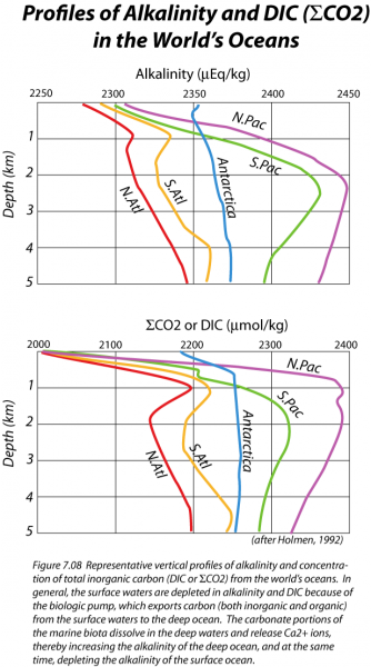 Graph of profiles of alkalinity and DIC in the world's oceans, see text description in link below