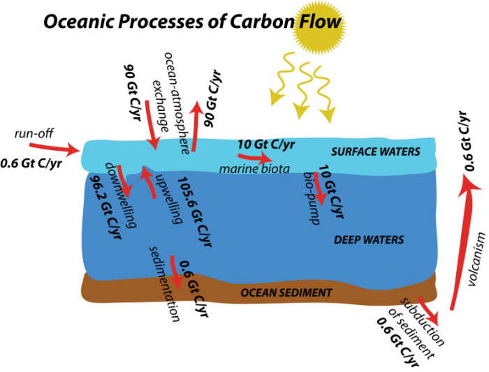 Illustration to show flows involved in the oceanic realm, along with the flow magnitudes