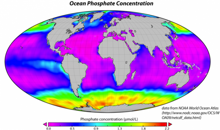 World map to show ocean phosphate concentration
