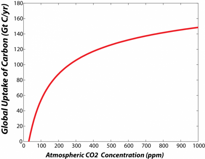 Graph showing how the rate of photosynthesis increases as concentration of CO2 in atmosphere increases, see text below