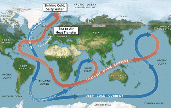 Diagram of major surface and deep water circulation components of the ocean that combine to form Global Conveyor Belt