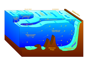 Diagram to show the upwelling of deep waters off Antarctica.
