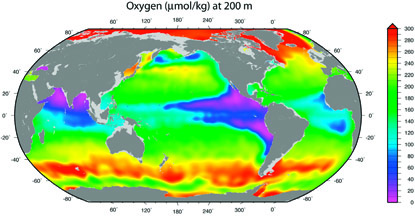 World map of surface ocean dissolved oxygen levels.