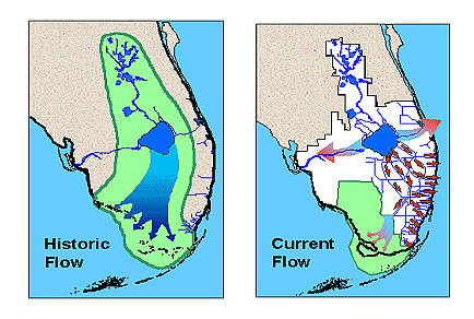 Schematic showing changes in the drainage of the Everglades as a result of development in south Florida