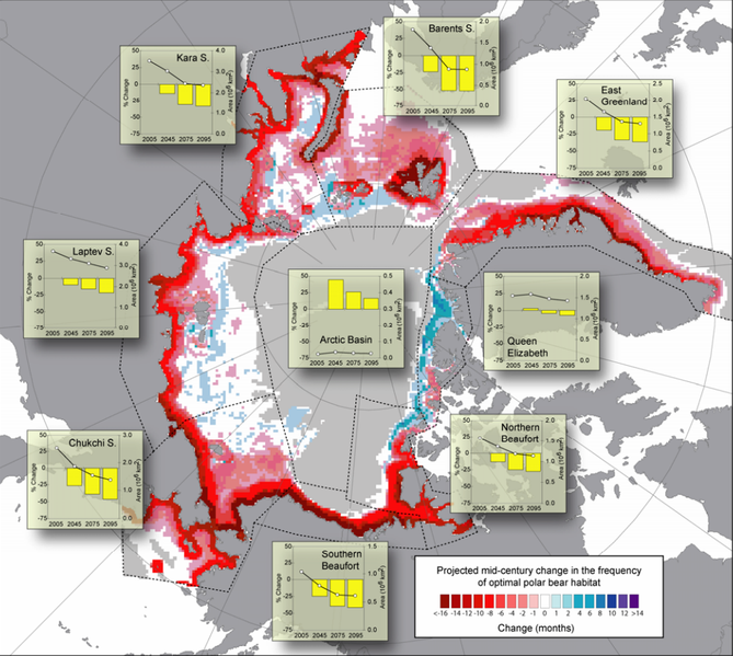 map showing projected changes in polar bear habitat from 2001 to 2010 and 2041 to 2050