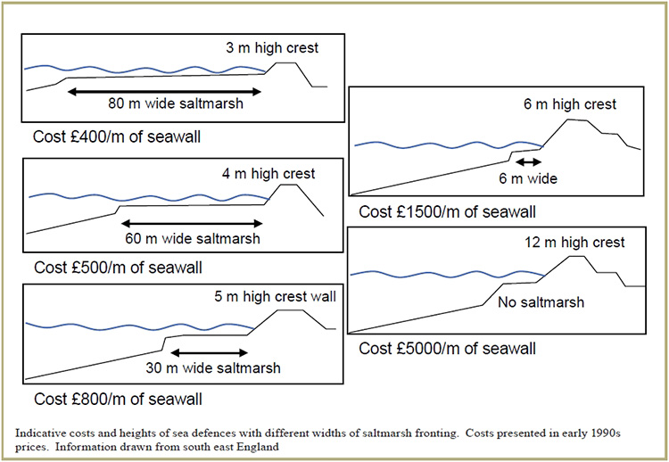 See caption. Wider salt marsh = shorter crest, taller crest=more expensive.