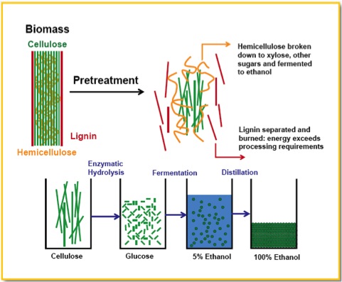 process of producing ethanol from lignocellulosic biomass, see text description in link below