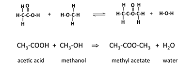 Reaction of acetic acid with methanol to form methyl acetate and water.