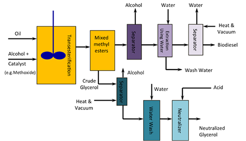 Schematic of biodiesel process using transesterification. see long description below