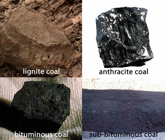 Four types of coal: lignite(black), anthracite(shiny black), bituminous(black), and sub-bituminous(dull black)