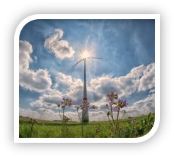 wind turbine on sunny day with flowers in the foreground