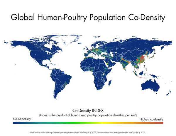 Global Human-Poultry Population Co-Density. High in China and Europe.