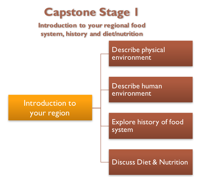 Schematic of Capstone stage one, see text description in link below