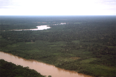 Aerial view of the Amazon tributary