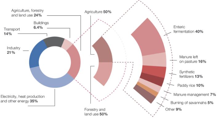 pie chart showing contributions of components of ag sector to global total GHG emissions. see long description below