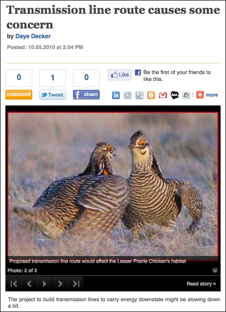 Proposed transmission line route would affect the Lesser Prairie chicken's habitat.