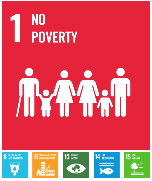 SDGs for poverty, clean water/sanitation, sustainable cities, climate action, life below water, life on land