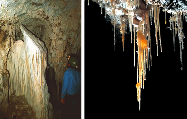 Two pictures.  1. Shield formation in a cave.  2. Twisty stalactites (called helectites).