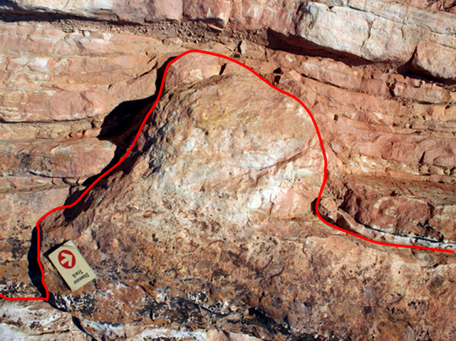 Previous image turned upside down showing what a dino footprint would look like if the rock turned upside down.