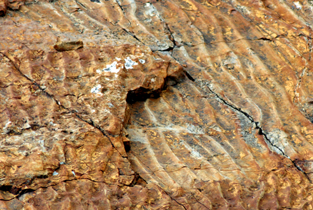 close up of a rock showing a rippled layer covered up by another rippled layer.