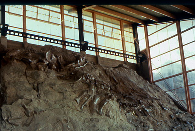 The quarry at Dinosaur Ledge revealing dinosaur fossils.  The quarry is now under a man made structure.