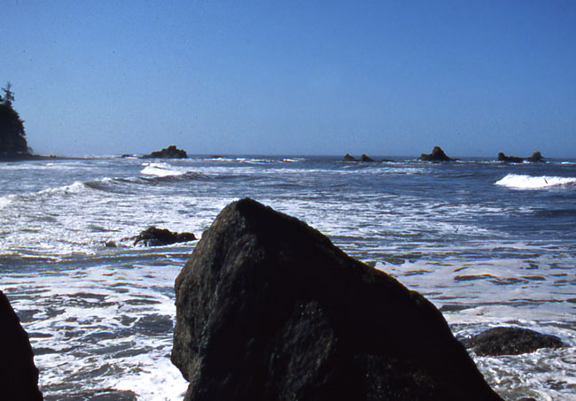 Coast of Olympic National Park with rocks jutting out of the water.