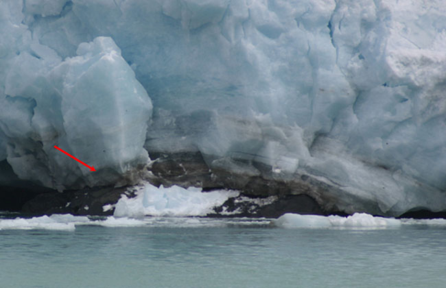 Close-up of glacier in south Greenland. Arrow points to debris-bearing basal ice. Water in foreground.