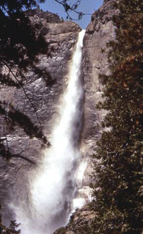 Close-up of Lower Yosemite Falls under blue sky, Yosemite National Park.  Rock cliffs to each side and large evergreen in right foreground.