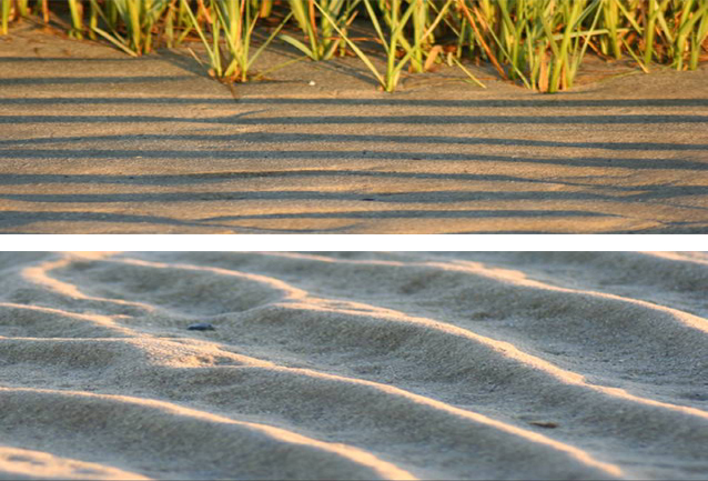 On top, rippled sand, with beach grass in the background. Below, a close-up of rippled sand