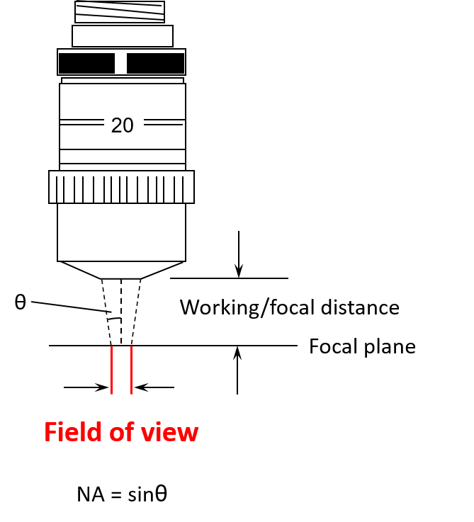 Field of View, Working Distance, and Numerical Aperture 