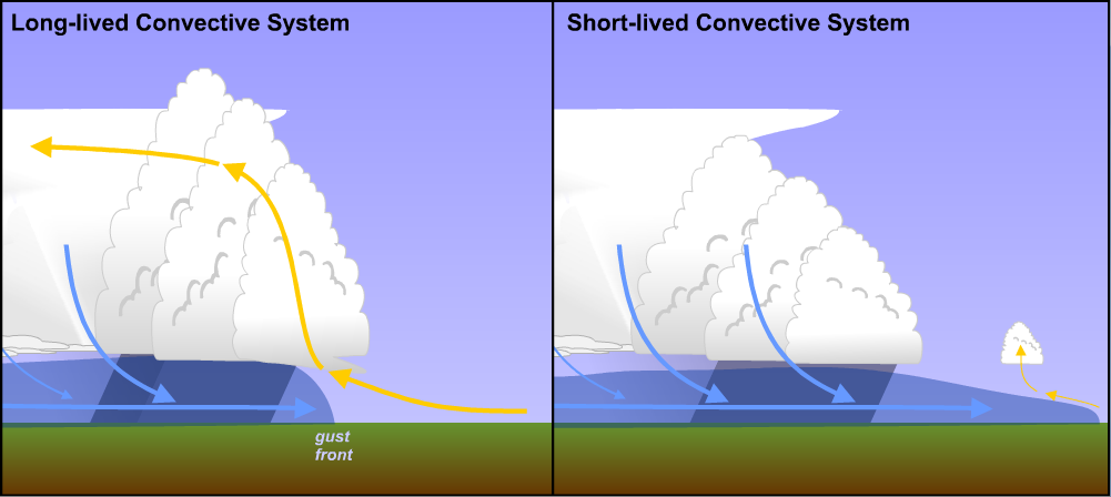 Schematic comparing the restrained gust front of a long-lived convective system to the unrestrained gust front of a short-lived one.