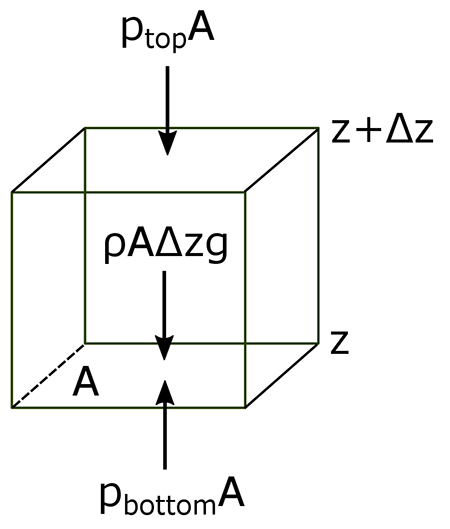 cube showing forces that determine hydrostatic balance as described in the text below