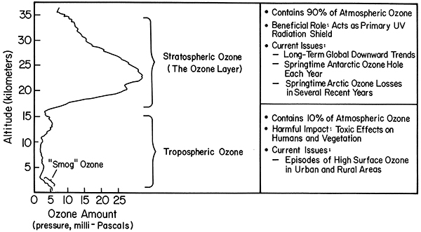 cross section of vertical ozone layers for tropics. See link in caption for text description