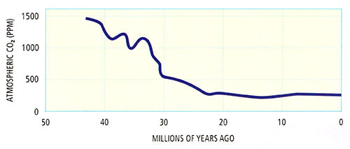 Geologic records of CO2levels (PPM) over time. 45 million yrs ago = 1500 PPM, today about 250 PPM. 