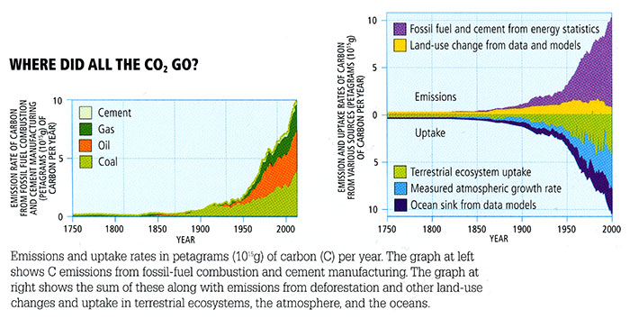 Annual change in atmospheric CO2 concentrations. More in text description below