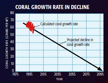 Coral Growth Rate in Decline: Calculated coral growth rate and projected decline in coral growth rate. 