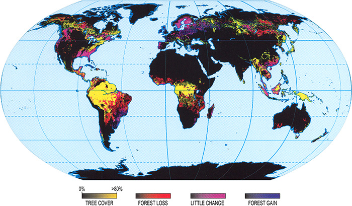 Map showing the rate of change in forested area between 2000 and 2012. (highest in tropics and subtropics)
