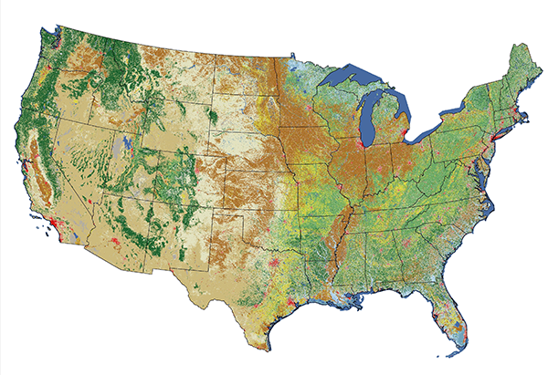 NLCD 2011 image for the Continental U.S. showing land cover changes
