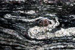 rock with black and white wavy lines.