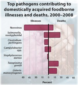 Foodborne Illness Chart