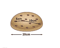 Animated image showing the rising of raisin bread dough