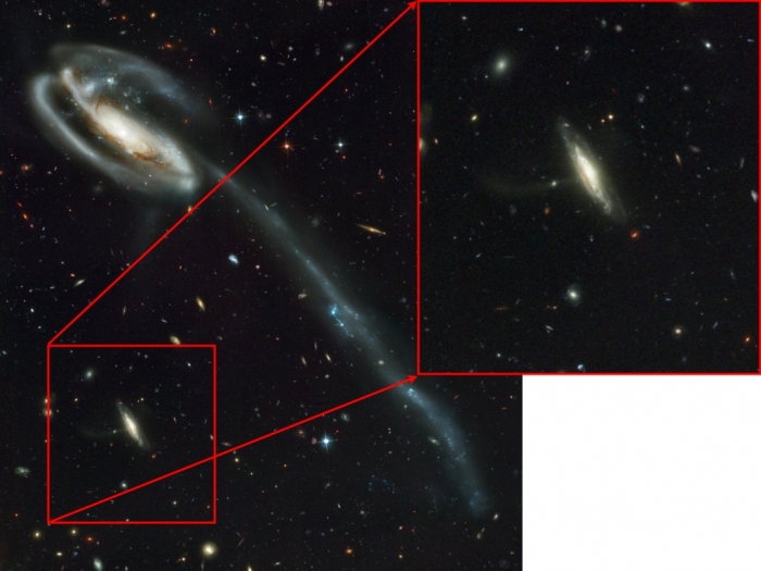 Background galaxy in Hubble Tadpole image zoomed in