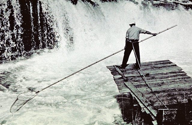 A man dip-net fishing in front of a waterfall with a net on a long pole