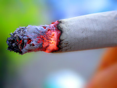 closeup of cigarette burning