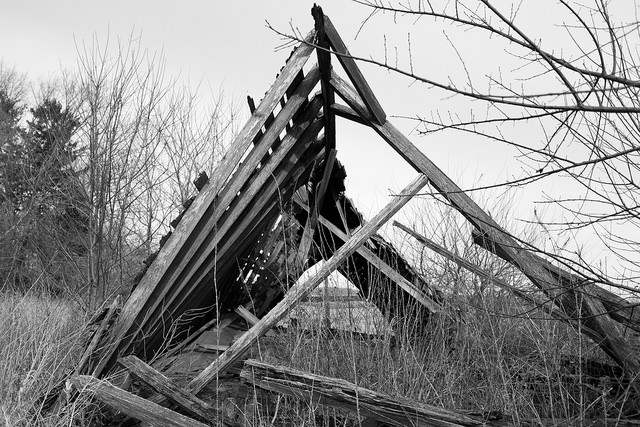 Collapsed wooden structure in the woods