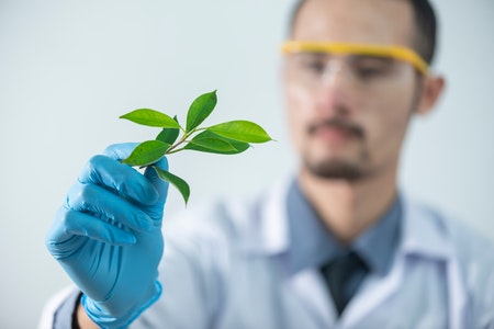 Scientist in blue gloves, holding a leaf in right hand